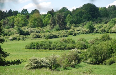 DSC_2261_klein.jpg